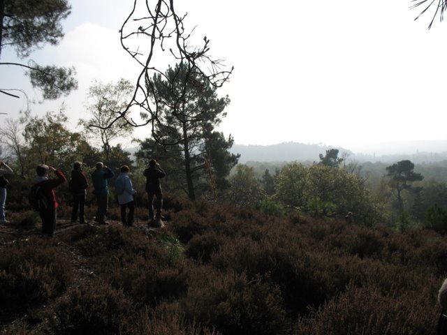 2007 10 Bois de Rochefort 09